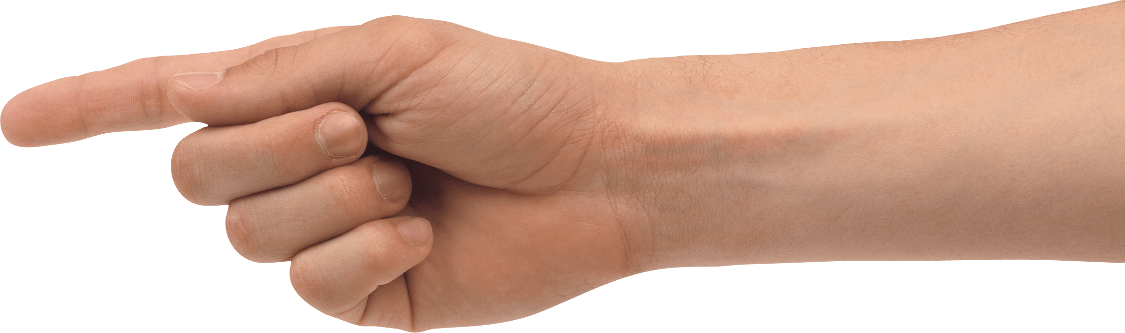 Hands Hand Transparent PNG Image