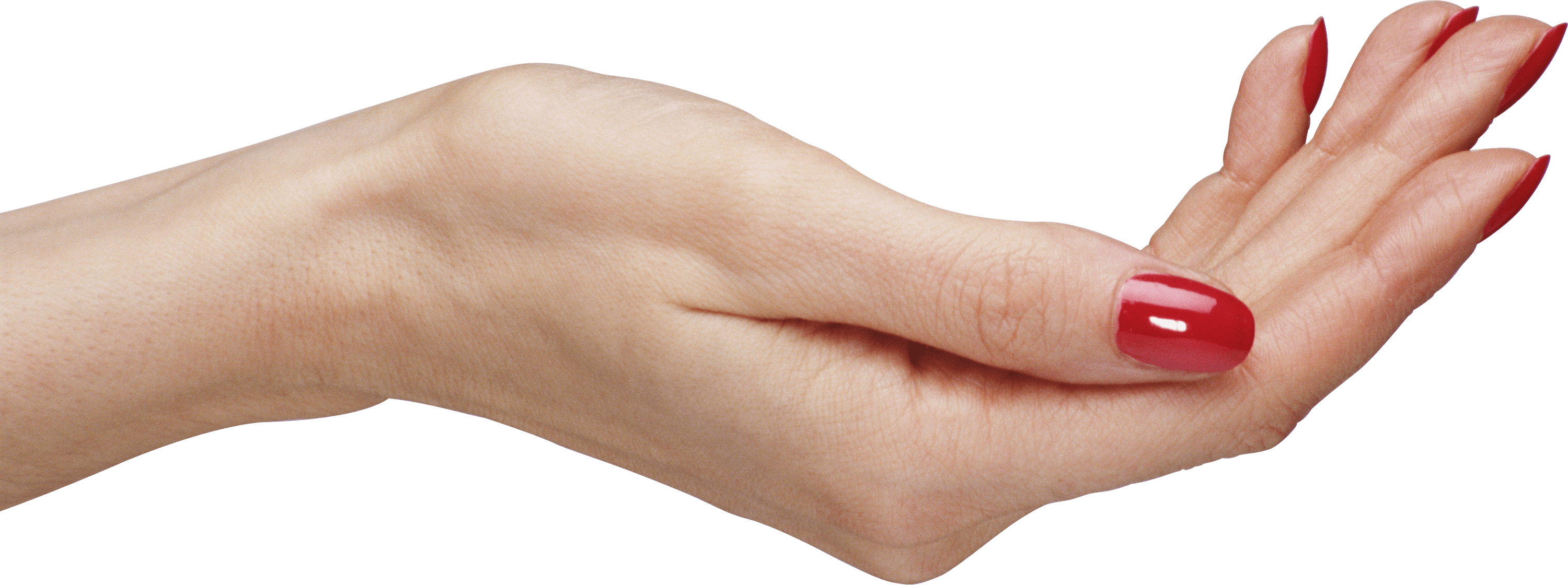 Palm Hands Hand Transparent PNG Image