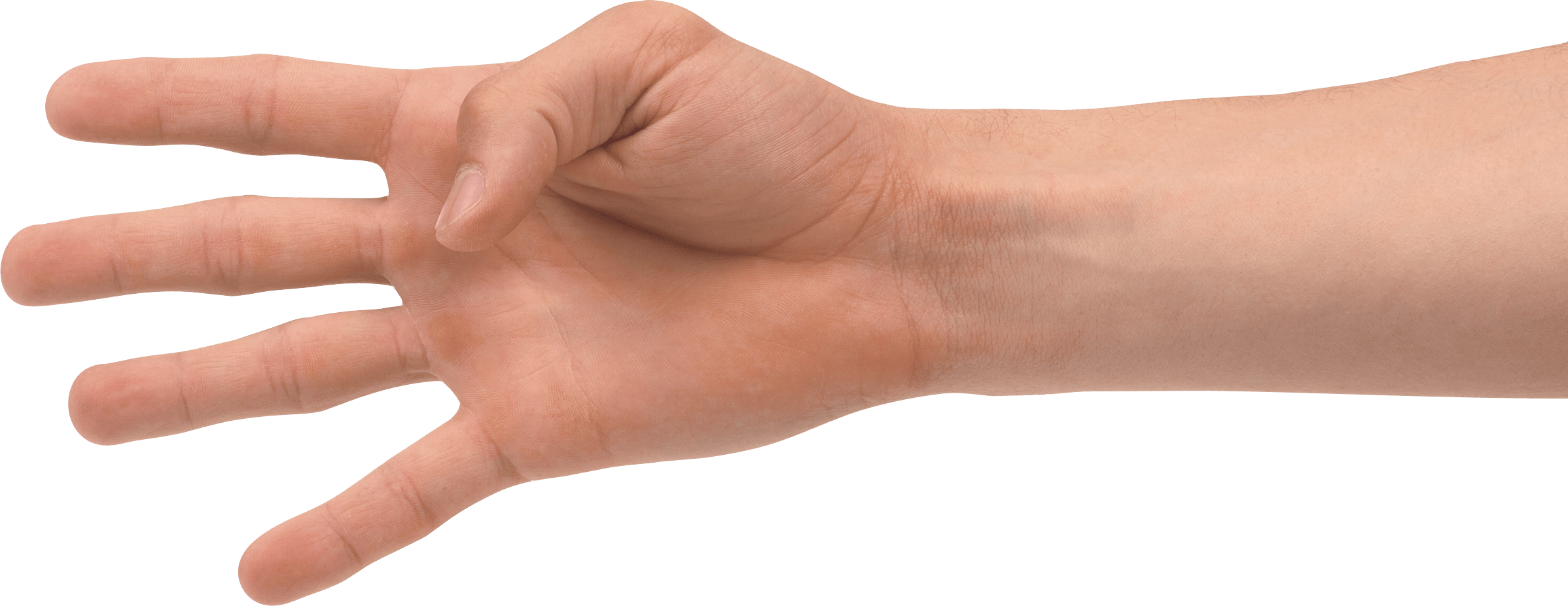 Hands Hand Transparent PNG Image