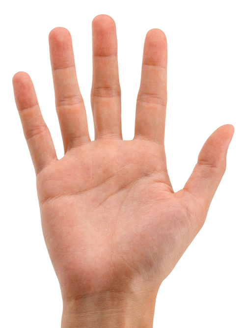 Hands 3 Transparent PNG Image