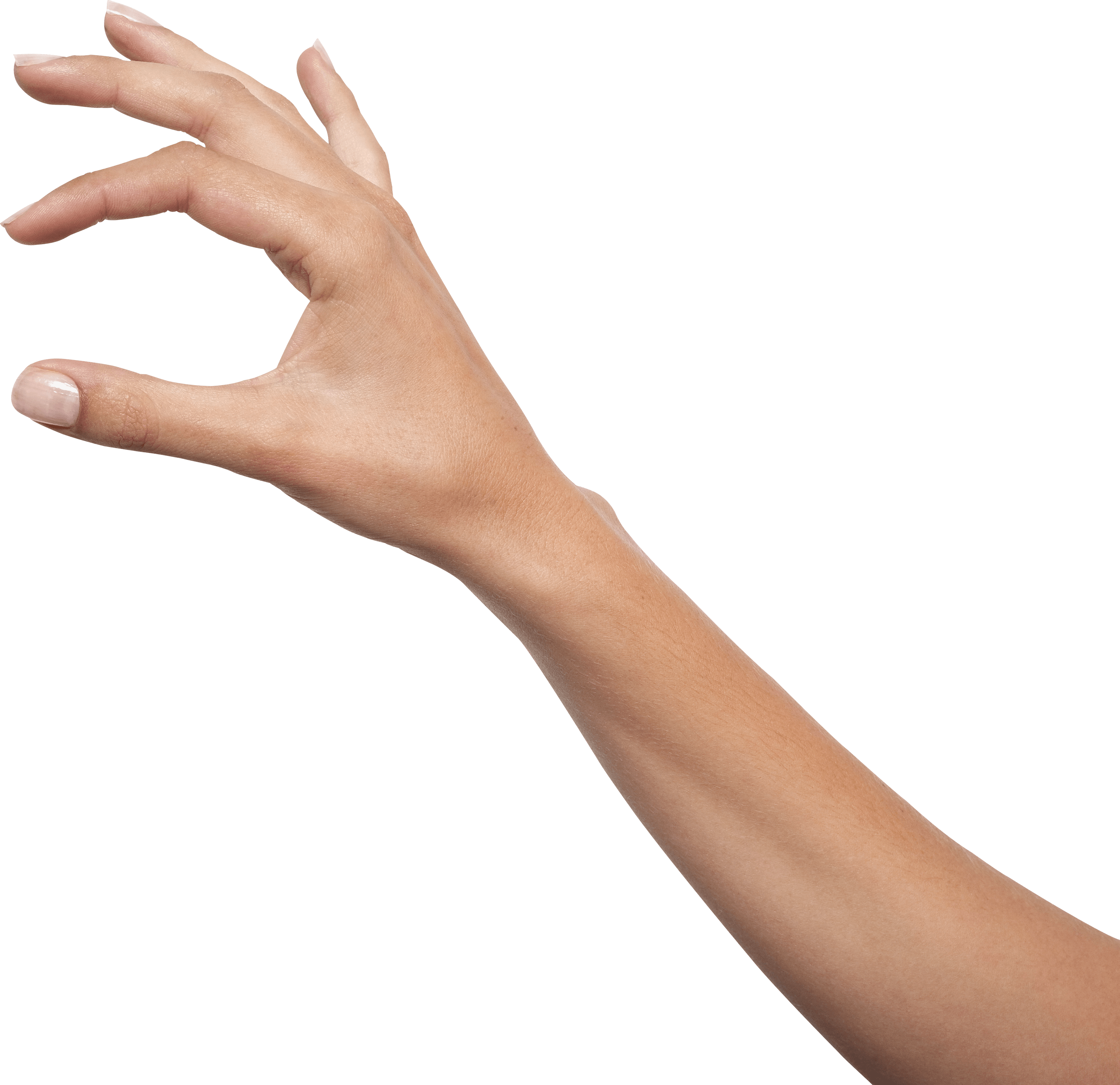 Hands Hand Transparent PNG Image