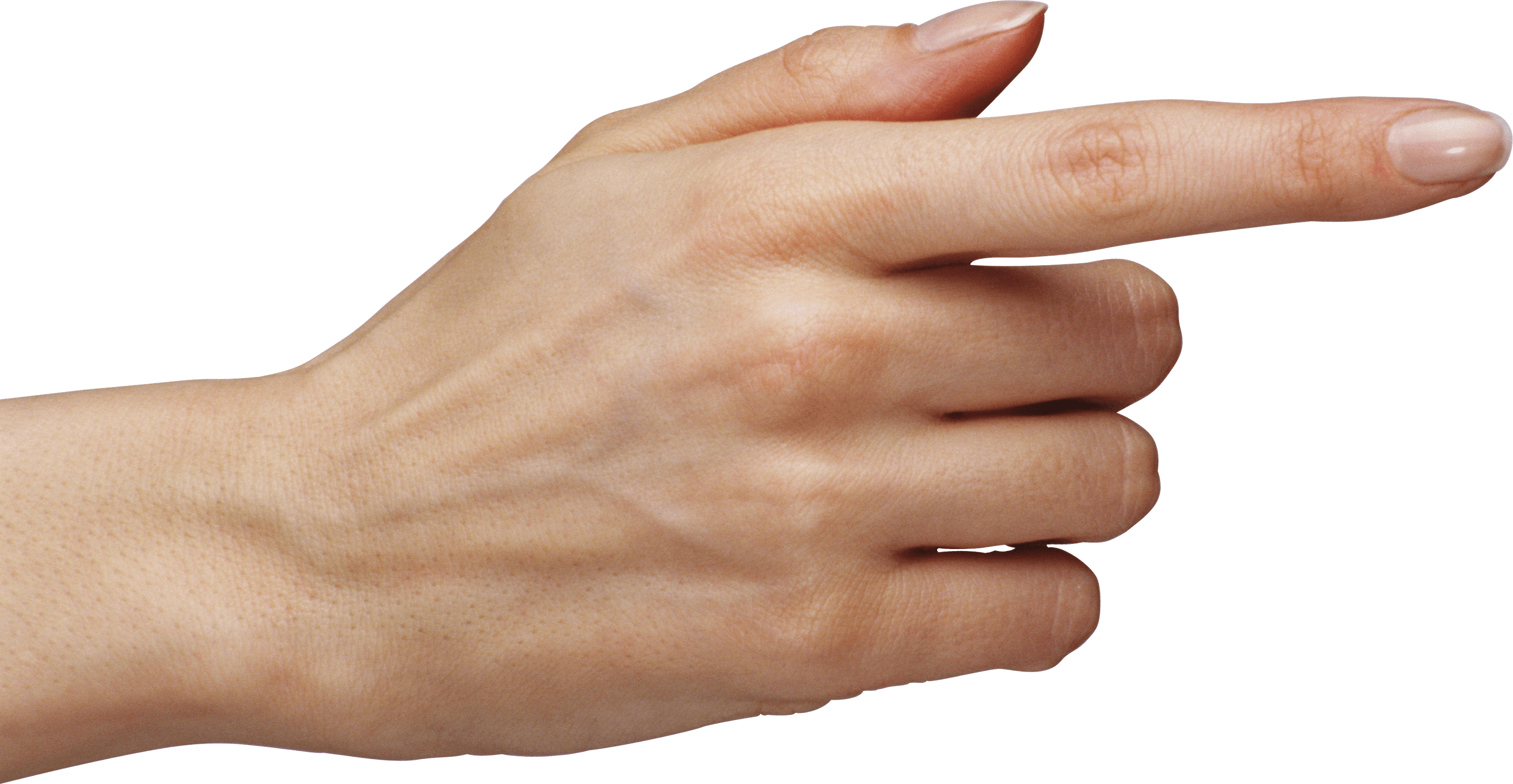 Hands Hand Transparent PNG Image