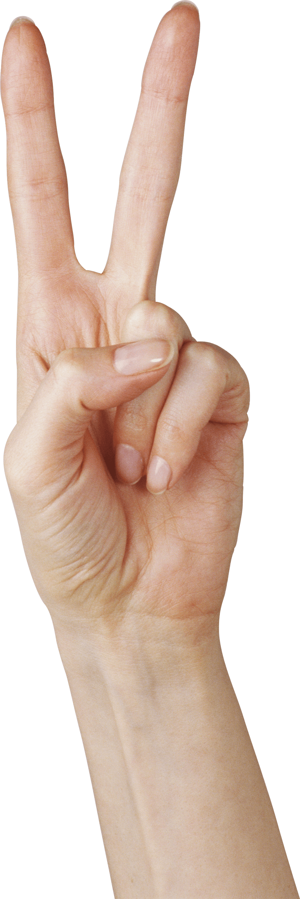 Hands Hand Transparent PNG Image