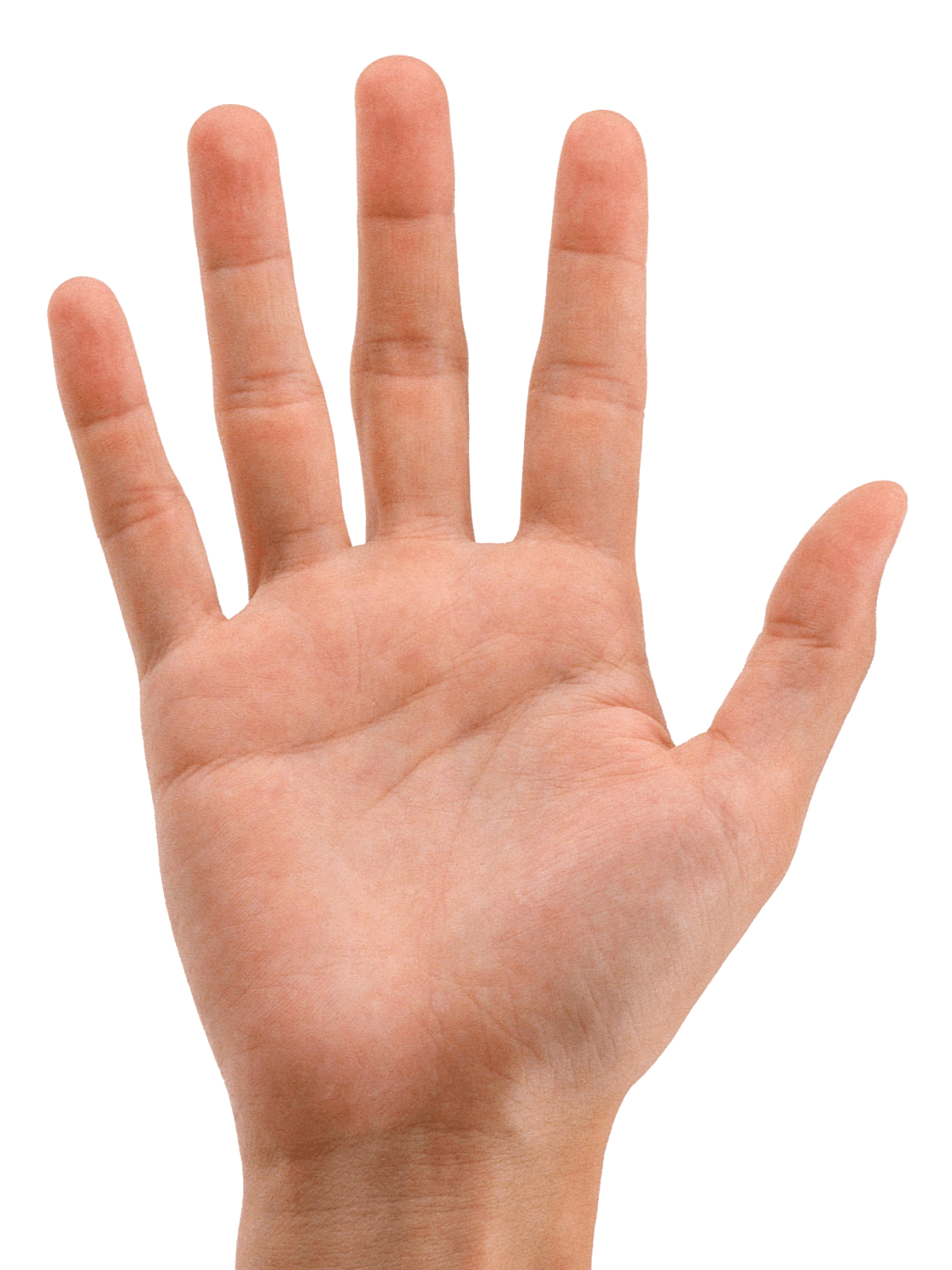 Hands Hand Transparent PNG Image