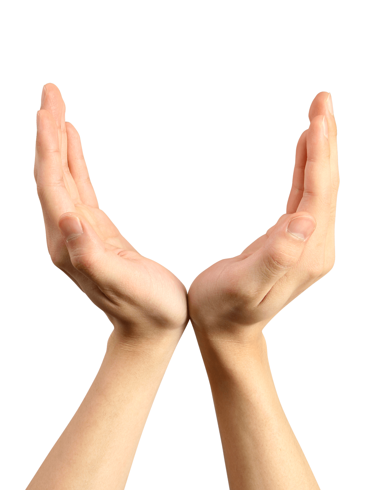Hands Hand Transparent PNG Image