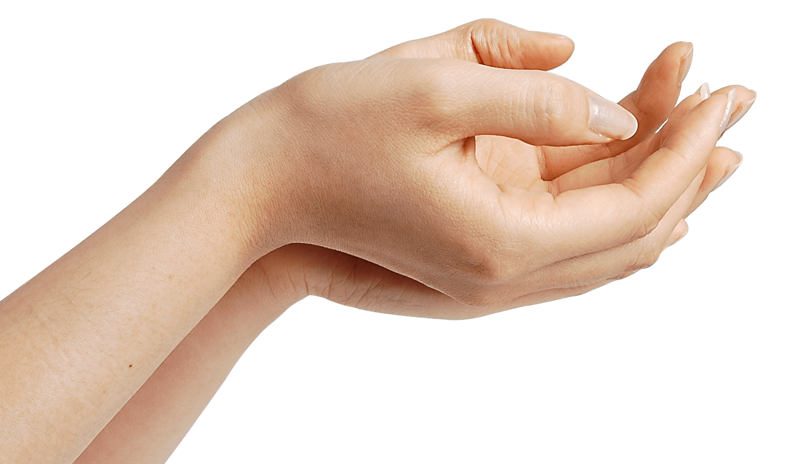 Hands Hand Transparent PNG Image