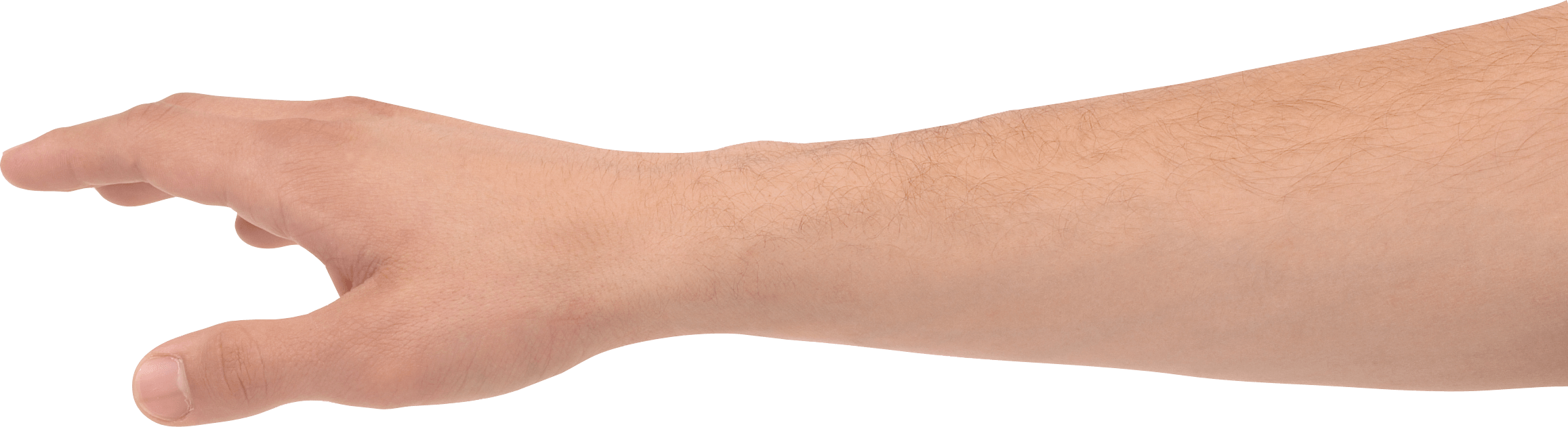 Hands Hand Transparent PNG Image