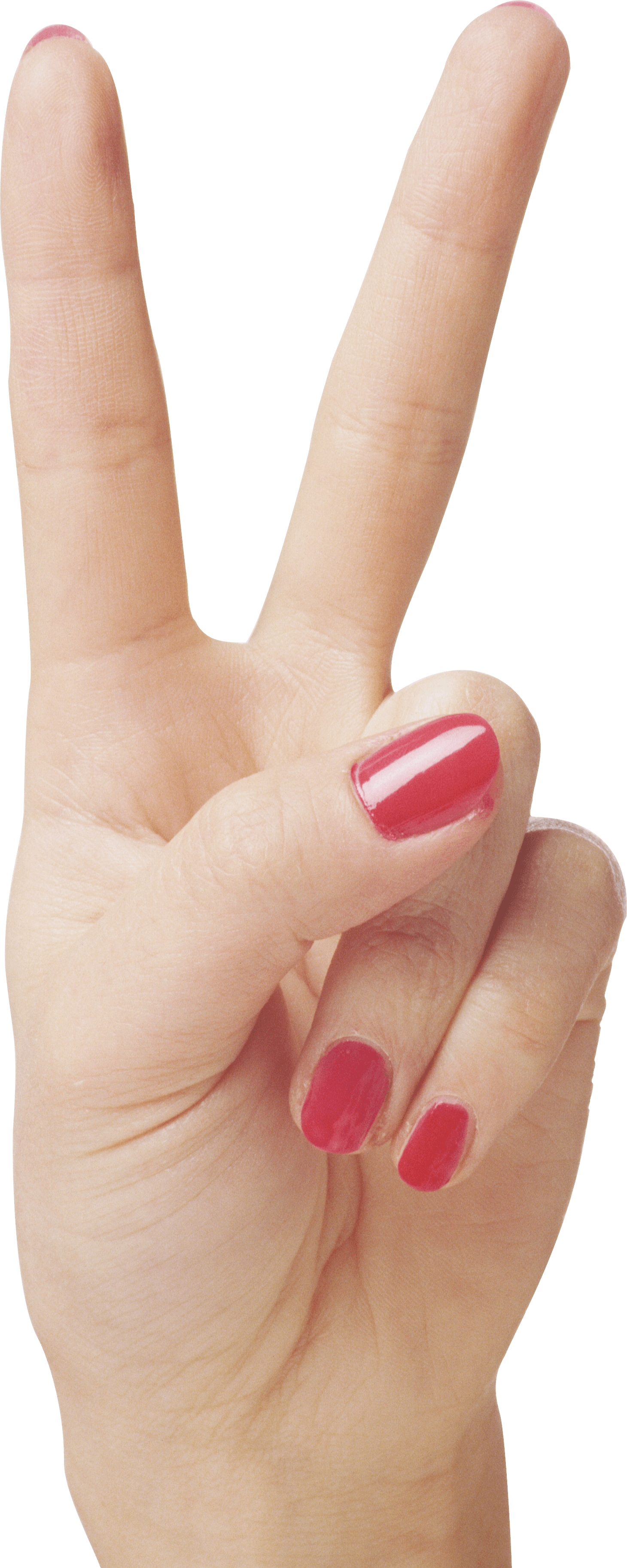 Hands Hand Transparent PNG Image