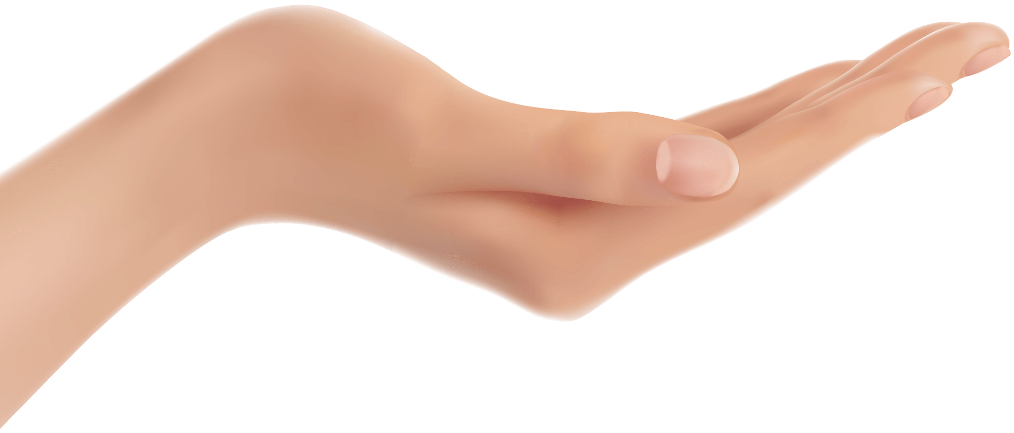 Hands Hand Transparent PNG Image