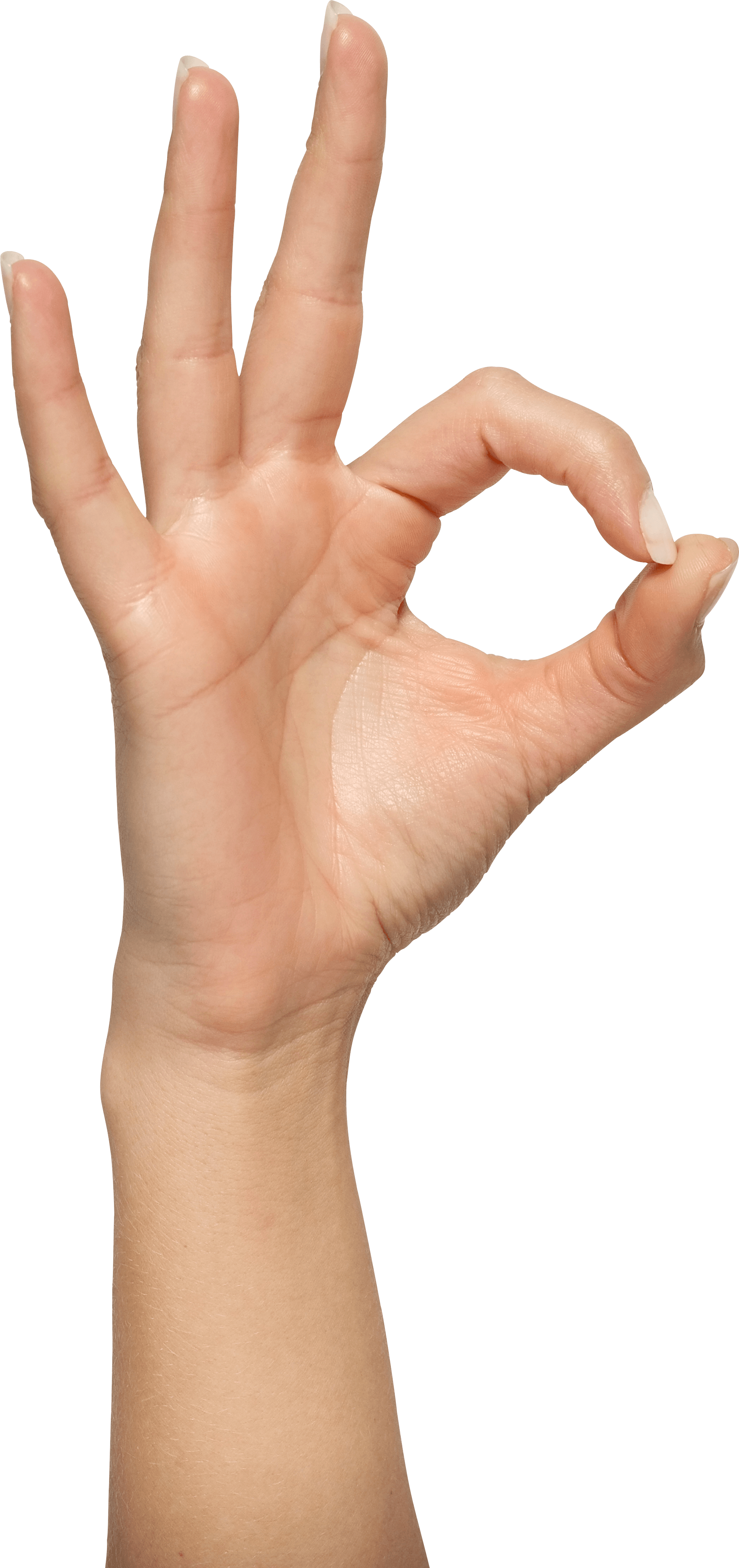 Hands Hand Transparent PNG Image