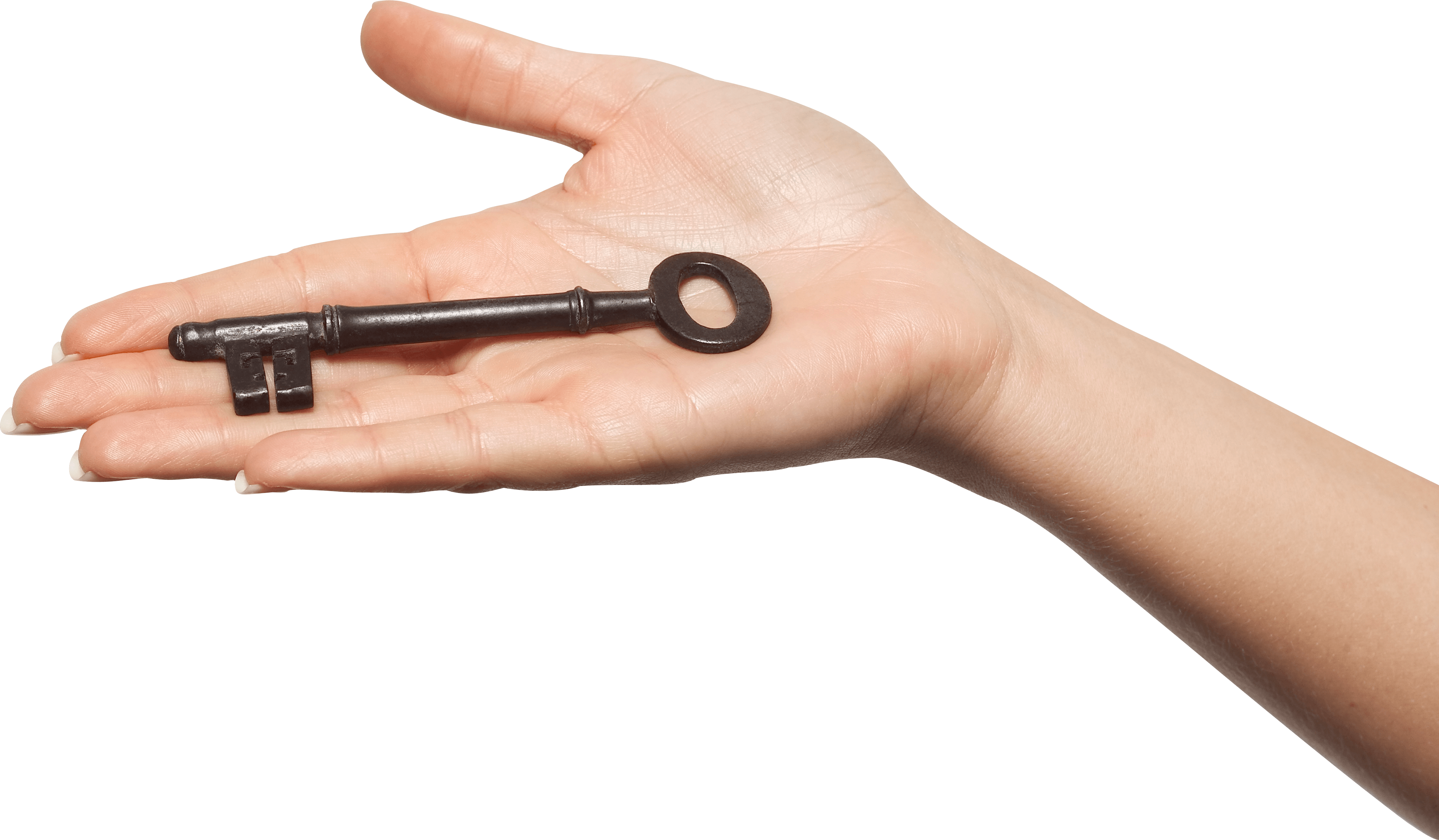 Hands Hand Transparent PNG Image