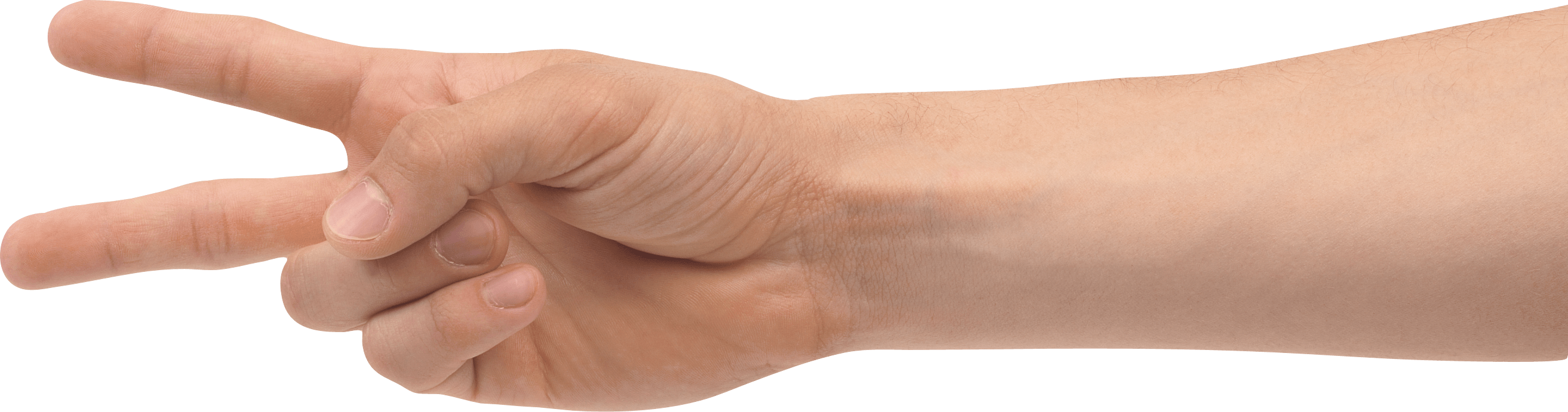 Hands Hand Transparent PNG Image