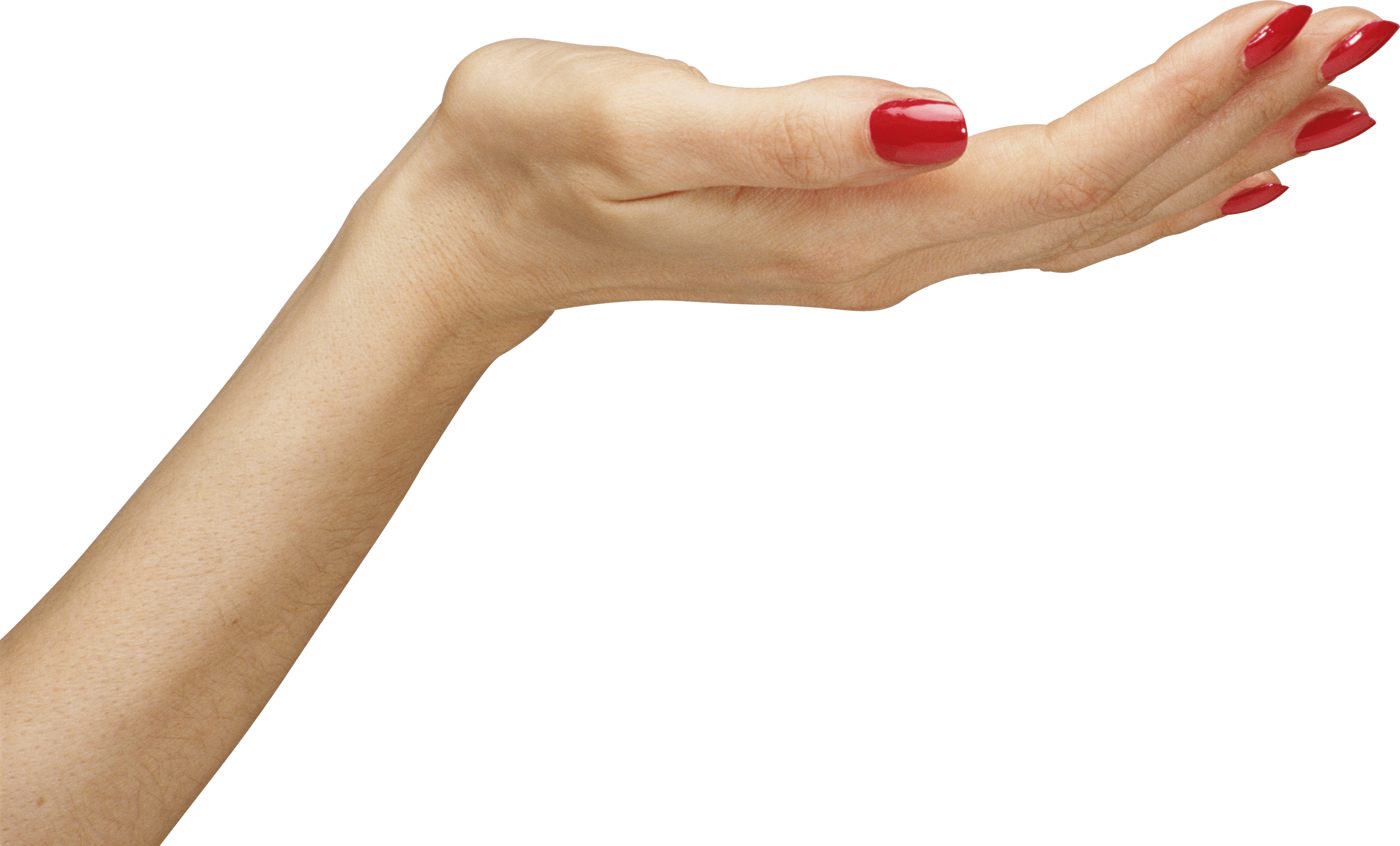 Hands Hand Transparent PNG Image