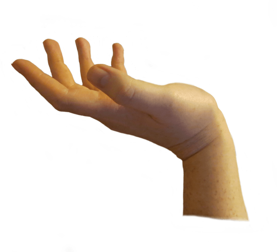 Hands Hand Transparent PNG Image