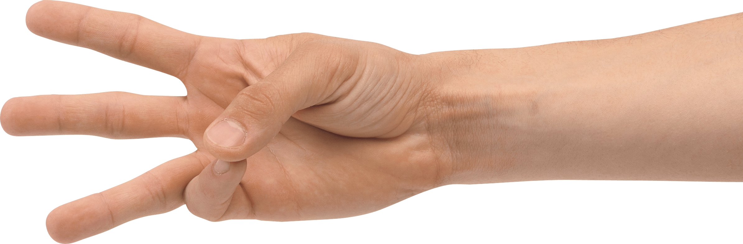 Hands Hand Transparent PNG Image