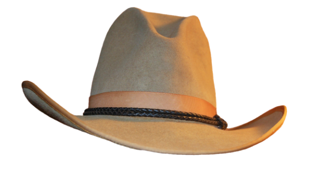 Hat Beige Cowboy Transparent PNG Image