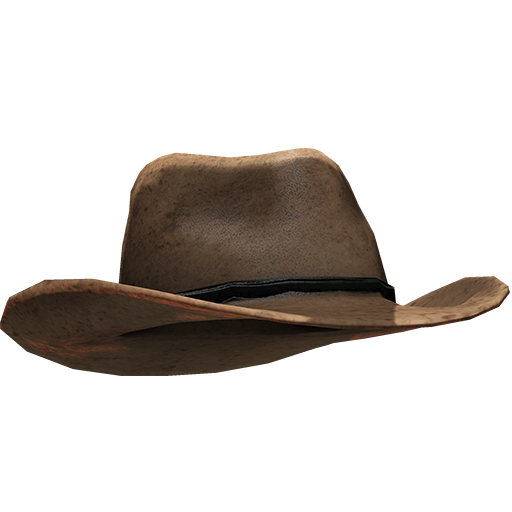 Brown Hat Cowboy Transparent PNG Image
