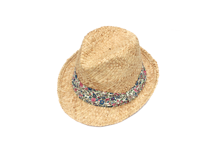 Sombrero Beach Hat Transparent PNG Image