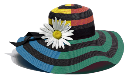 Fancy Hat Transparent PNG Image