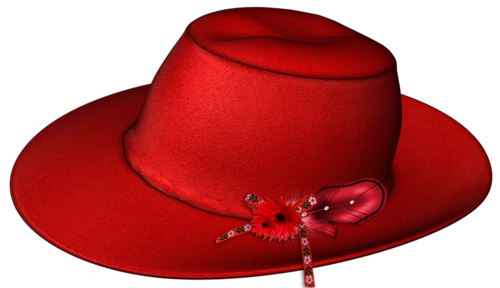 Fancy Hat Transparent PNG Image