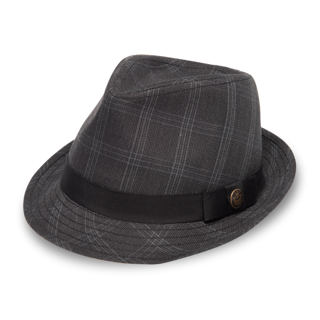 Fedora Transparent PNG Image