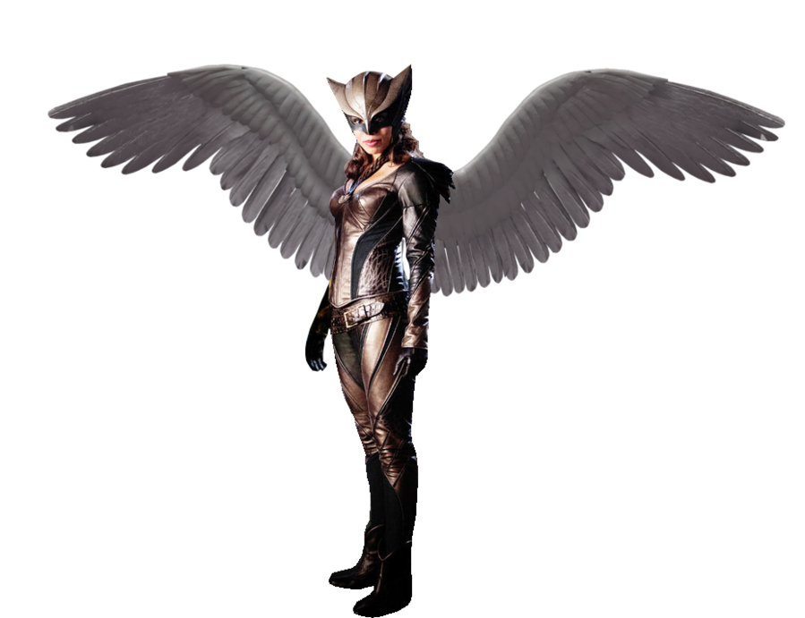 Hawkgirl Transparent PNG Image