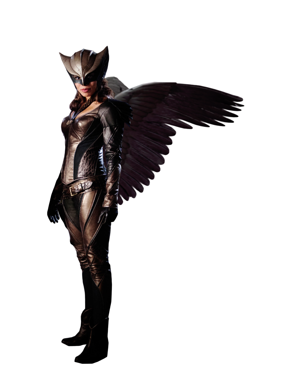 Hawkgirl Transparent PNG Image