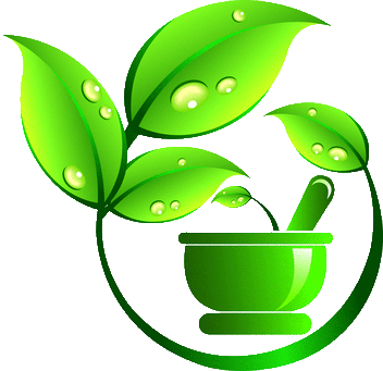 Health File Transparent PNG Image