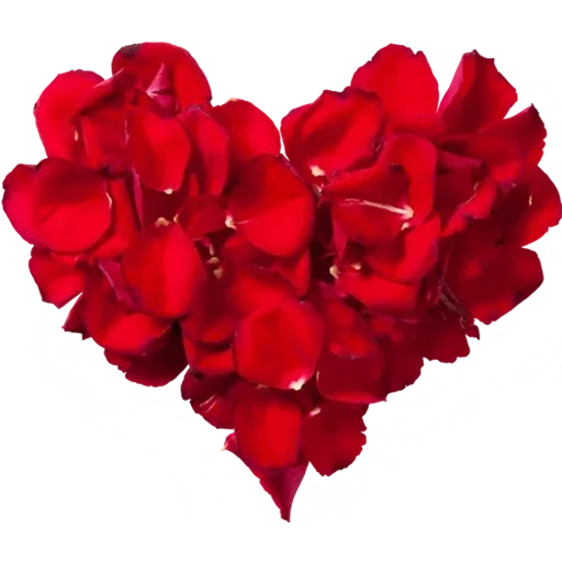 Heart Rose Transparent PNG Image