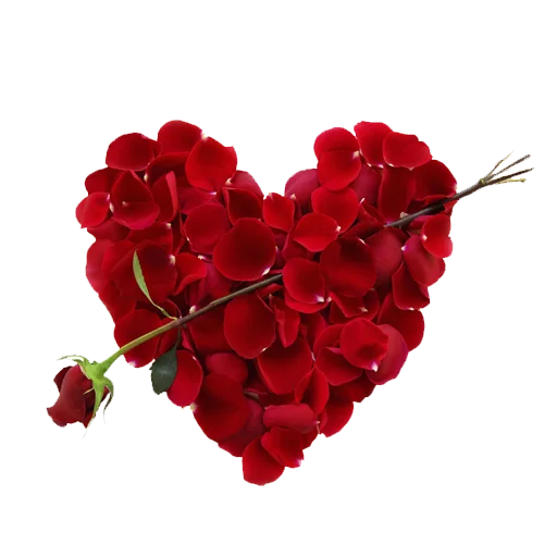 Rose Heart Transparent PNG Image