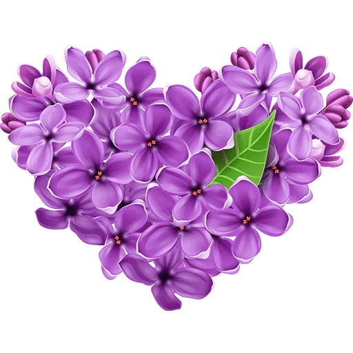 Rose Heart Transparent PNG Image