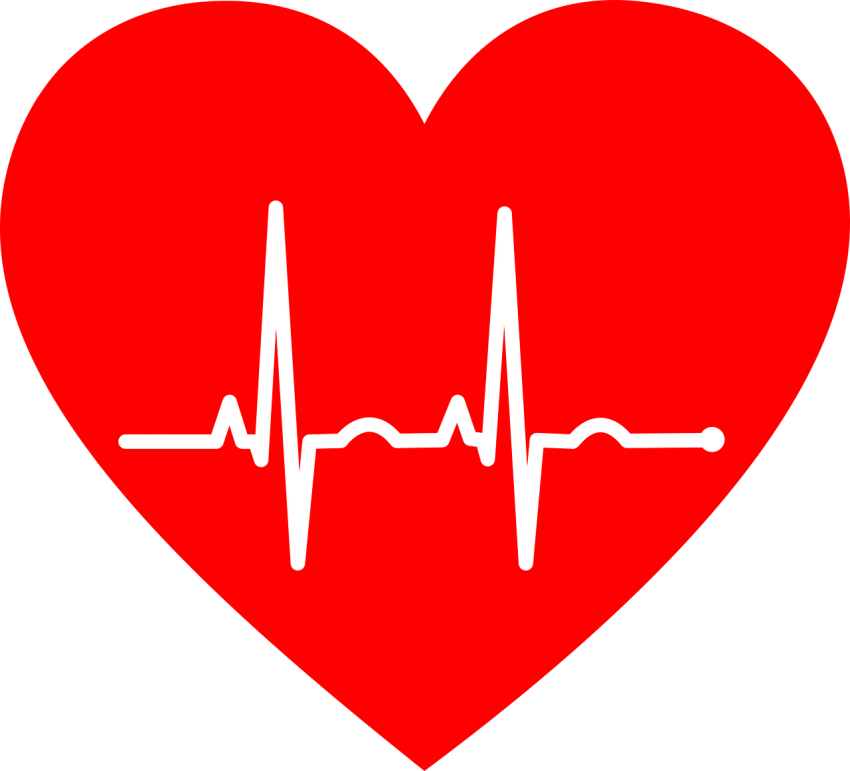 Heart Vector Transparent PNG Image