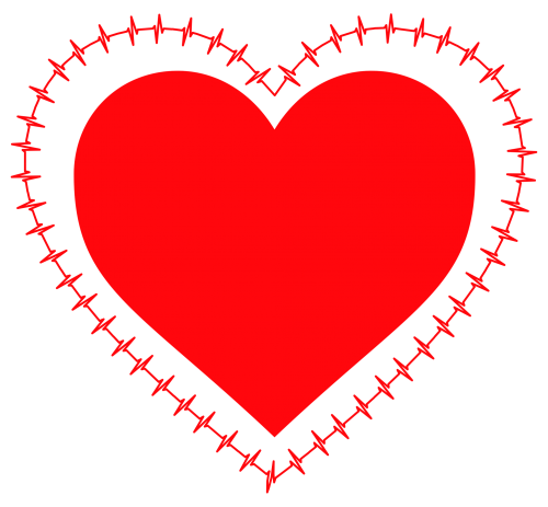 Heart Vector Red Transparent PNG Image