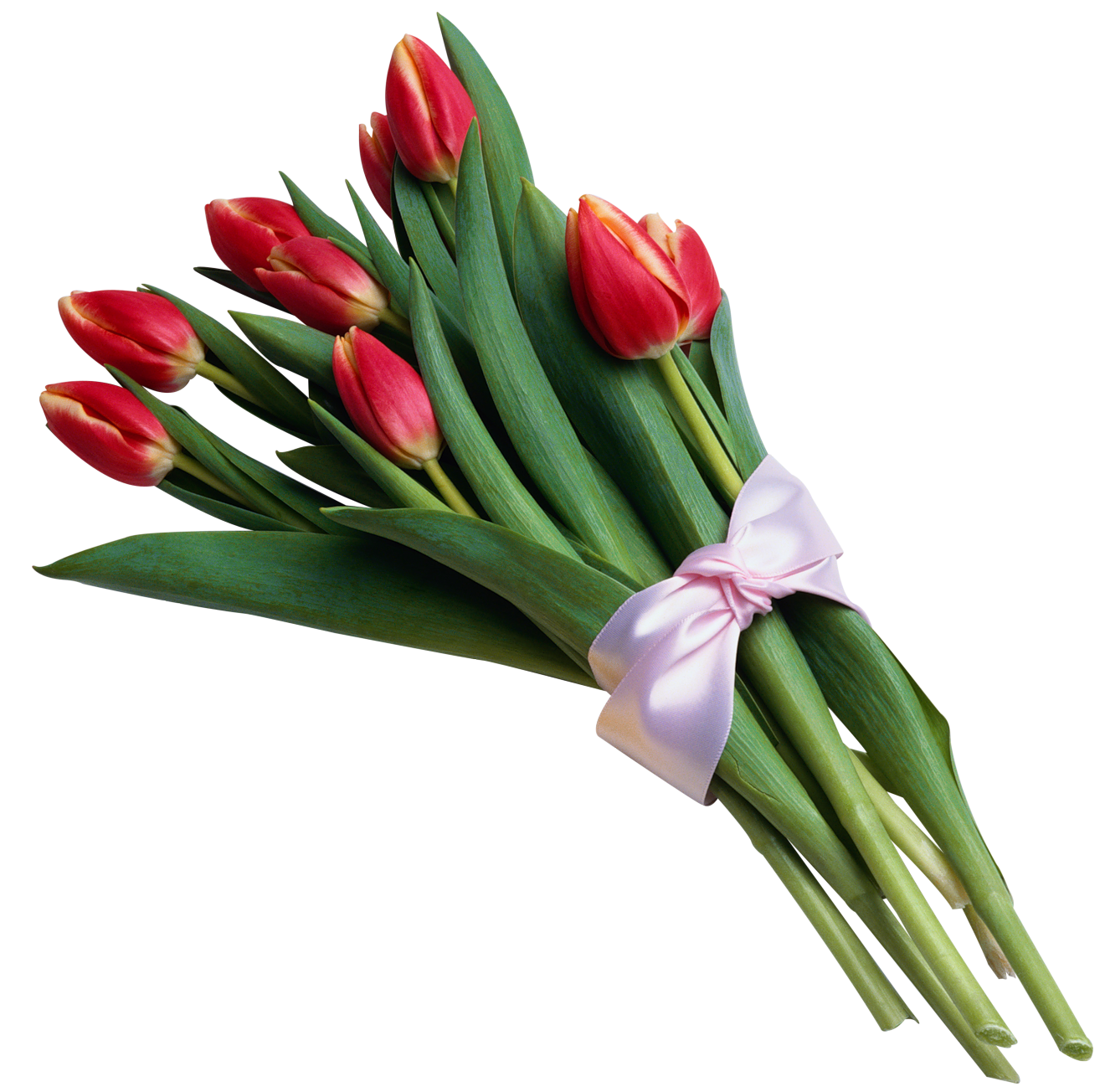 Flower Bouquet Tulips Tulip Of Transparent PNG Image