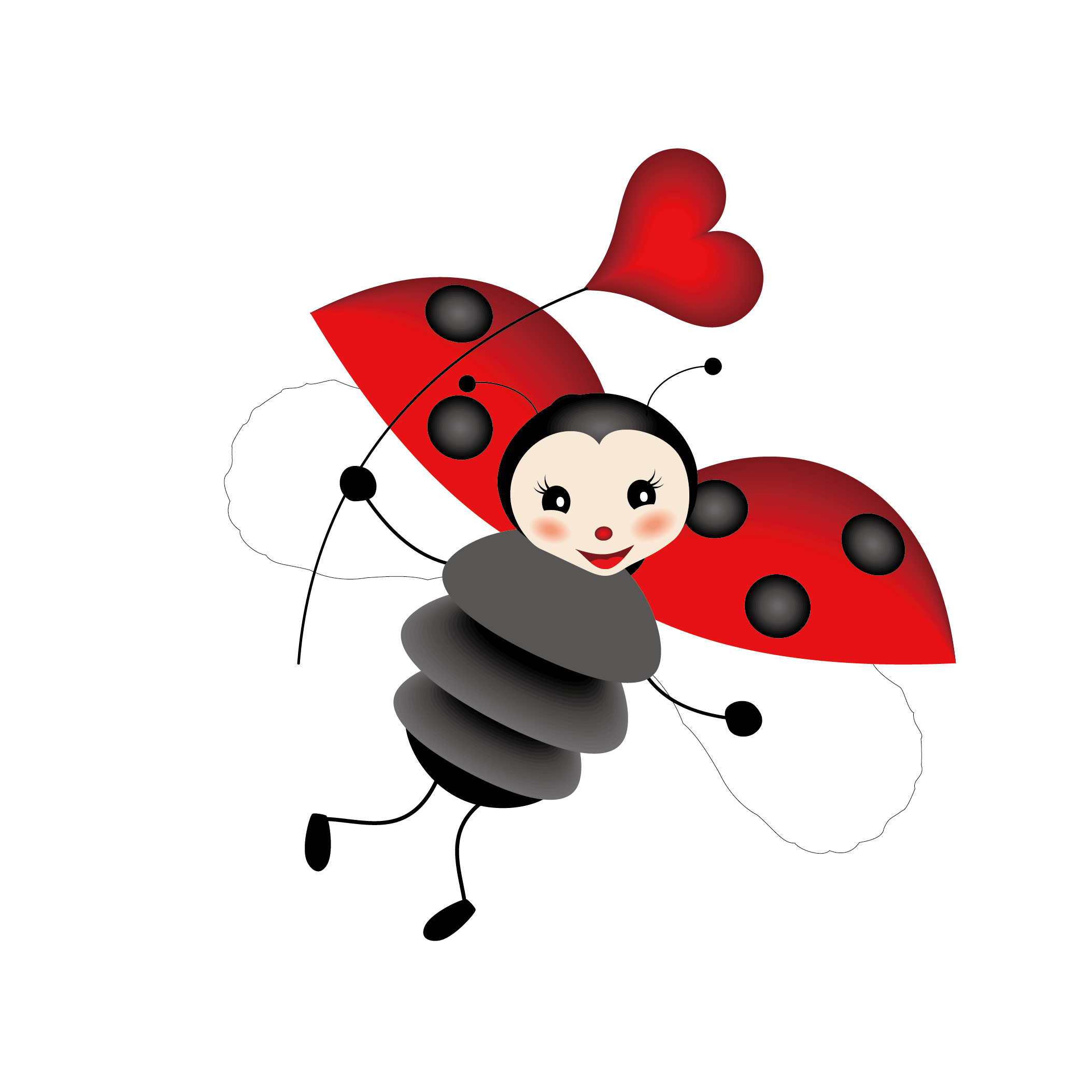 False Ladybird graphy Beetle Illustration Royalty- Vector Transparent PNG Image