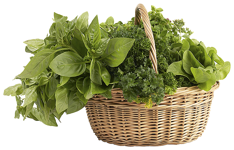 Herbs Transparent PNG Image