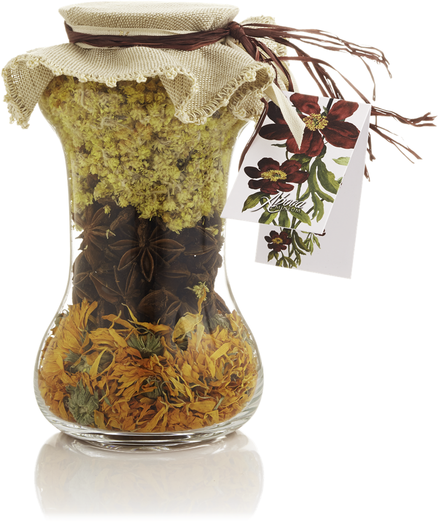 Medicine Herbs File Transparent PNG Image