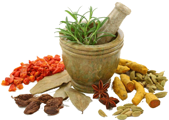 Medicine Herbs Transparent PNG Image