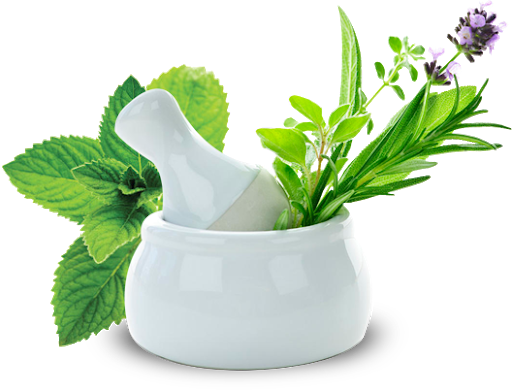 Medicine Herbs Transparent PNG Image