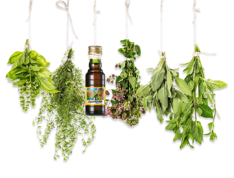 Medicine Herbs Transparent PNG Image