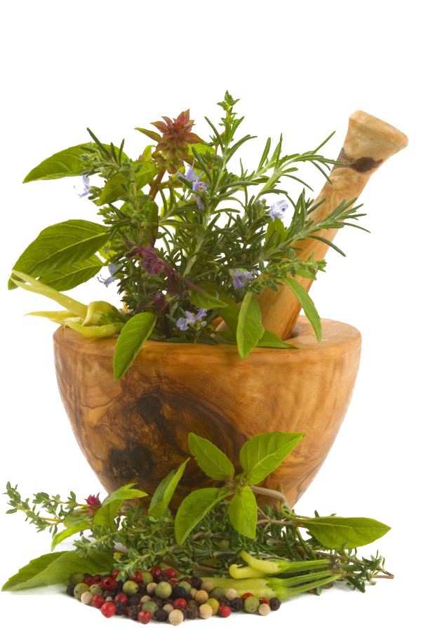 Medicine Herbs Transparent PNG Image