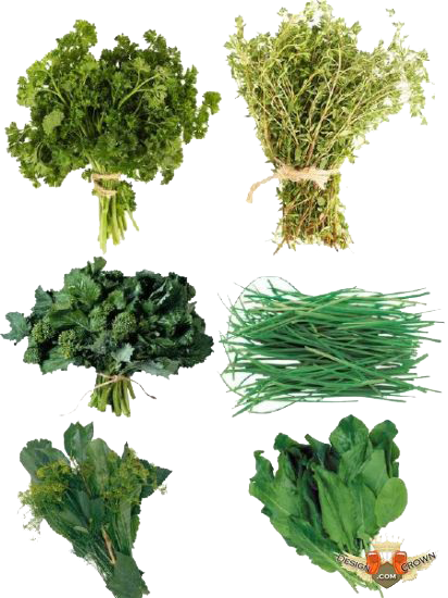 Herbs Transparent PNG Image