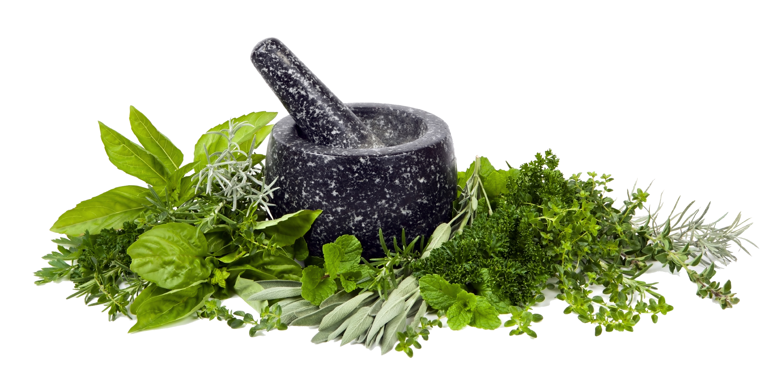 Herbs Transparent PNG Image