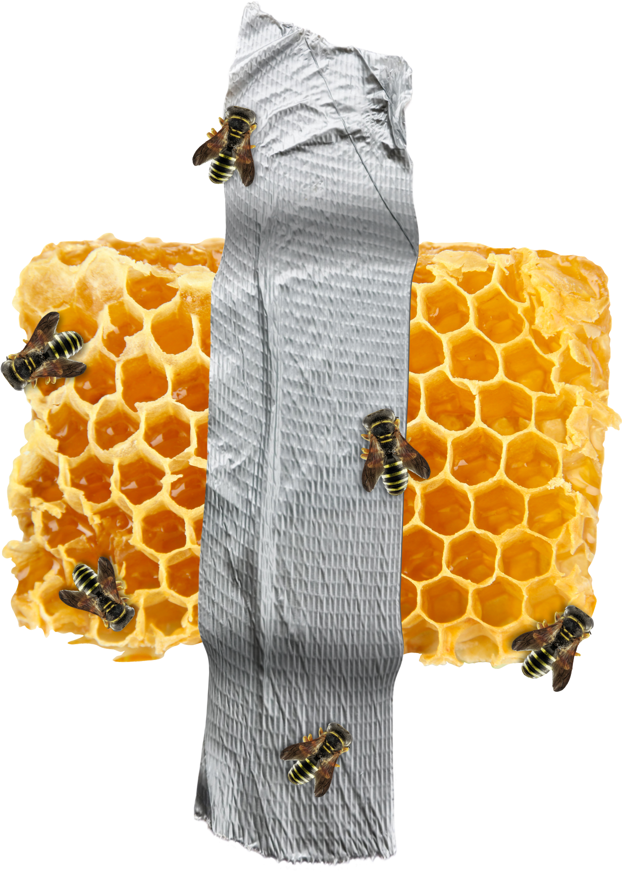 Organic Honeycomb Transparent PNG Image