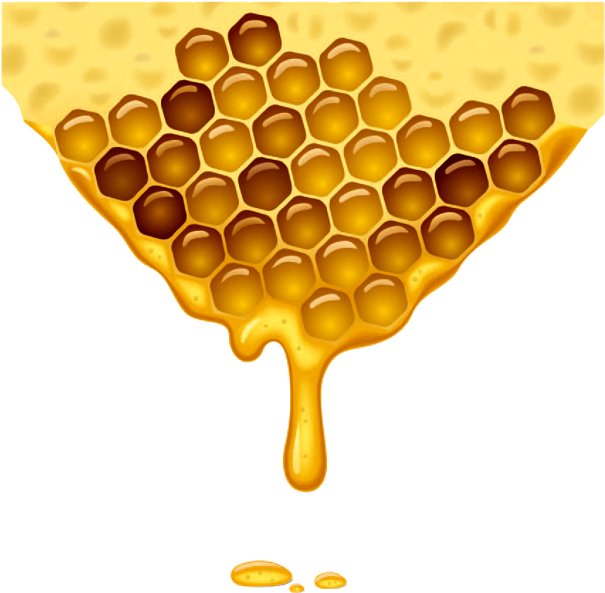 Organic Honeycomb Transparent PNG Image