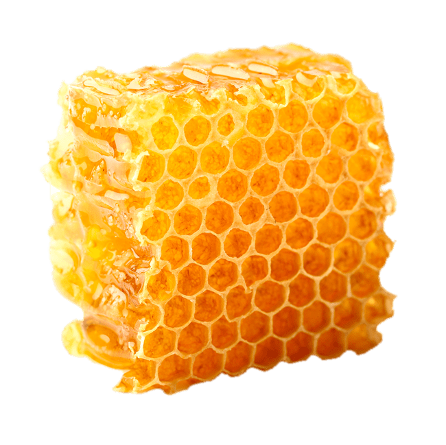Organic Honeycomb Transparent PNG Image