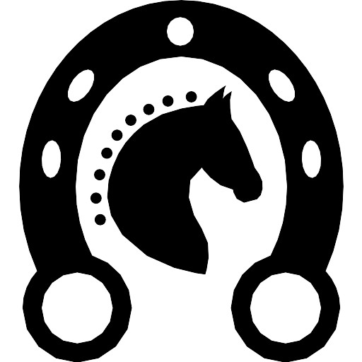 Arabian Black Horseshoe Transparent PNG Image