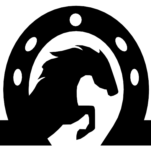 Arabian Black Horseshoe Transparent PNG Image