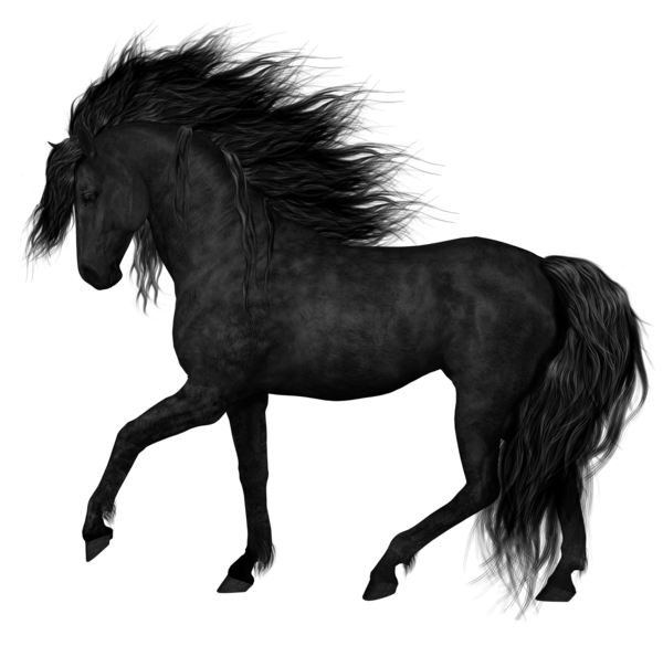 Horse Arabian Black Transparent PNG Image