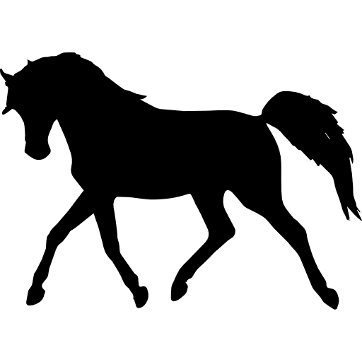 Pic Horse Arabian Black Transparent PNG Image